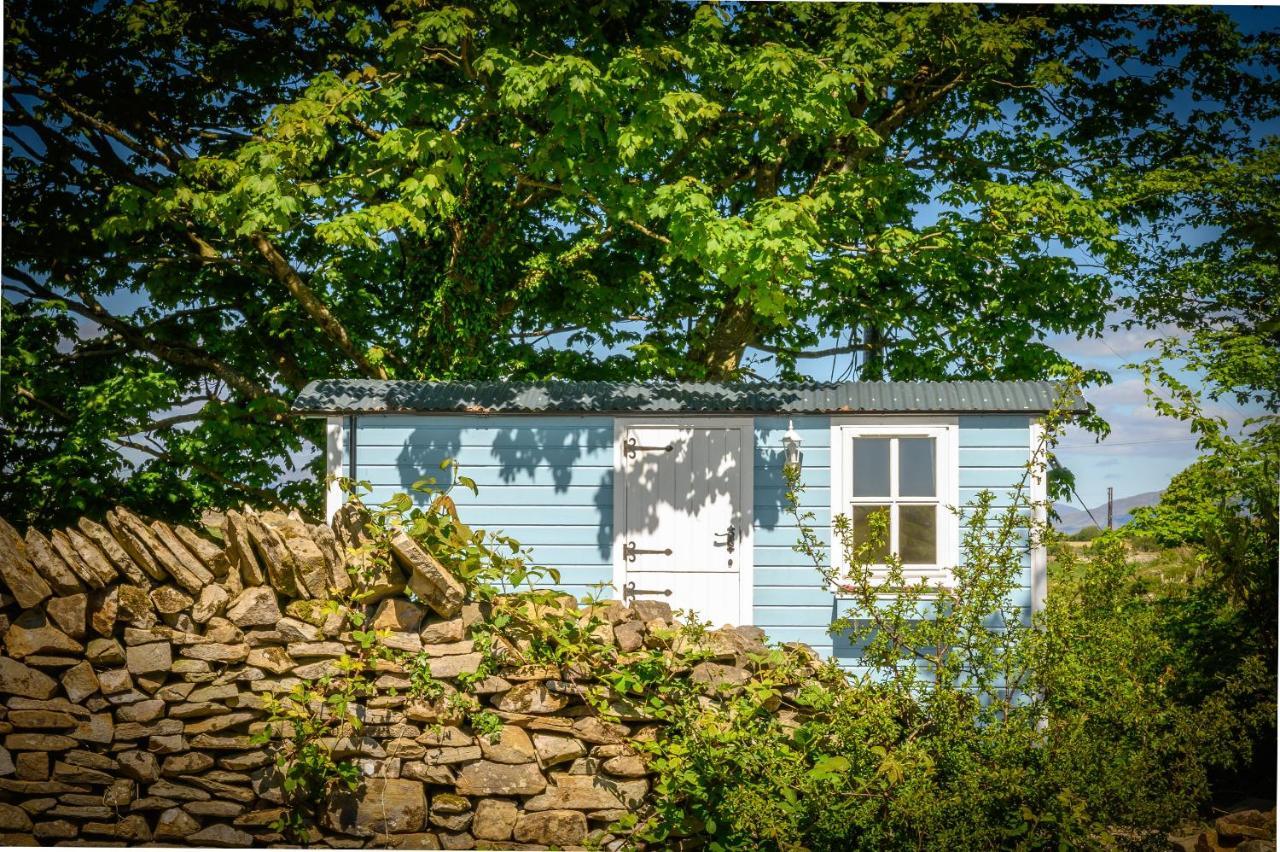 Вилла Westport Glamping At Doon Angus Farm Экстерьер фото