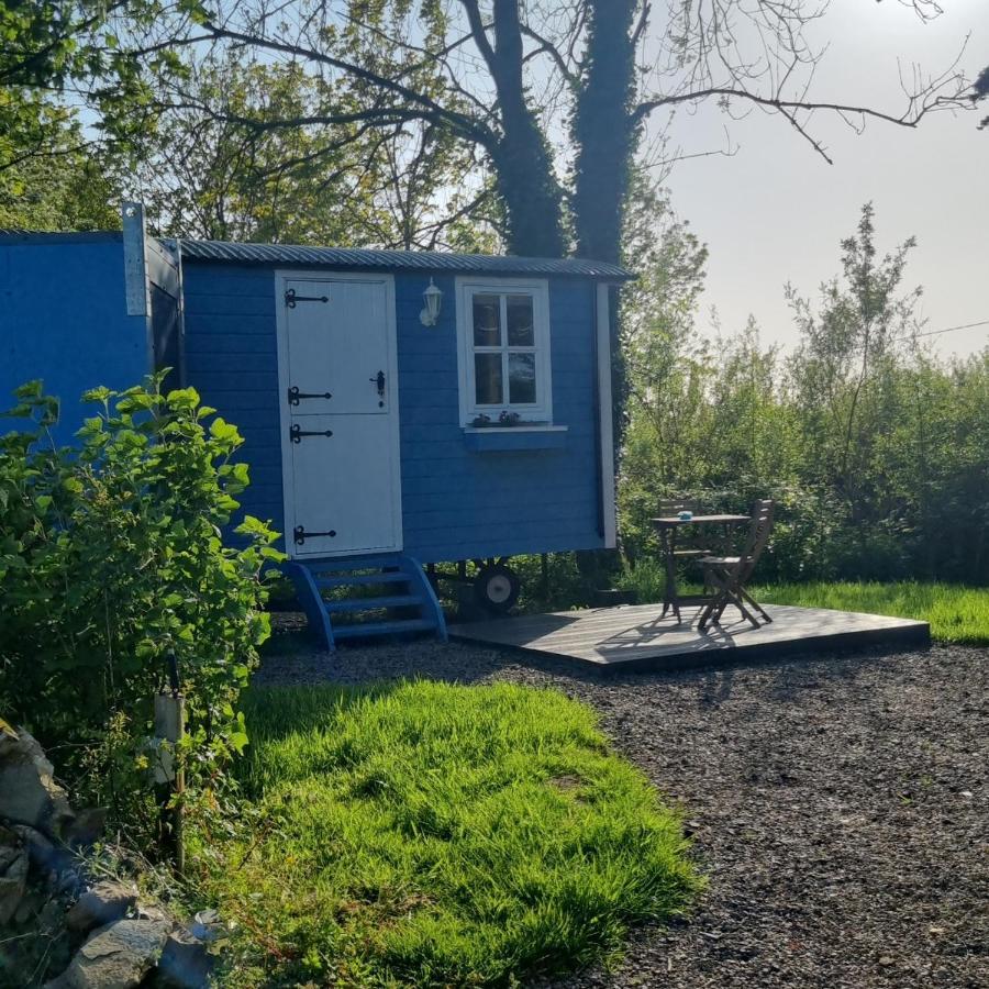 Вилла Westport Glamping At Doon Angus Farm Экстерьер фото