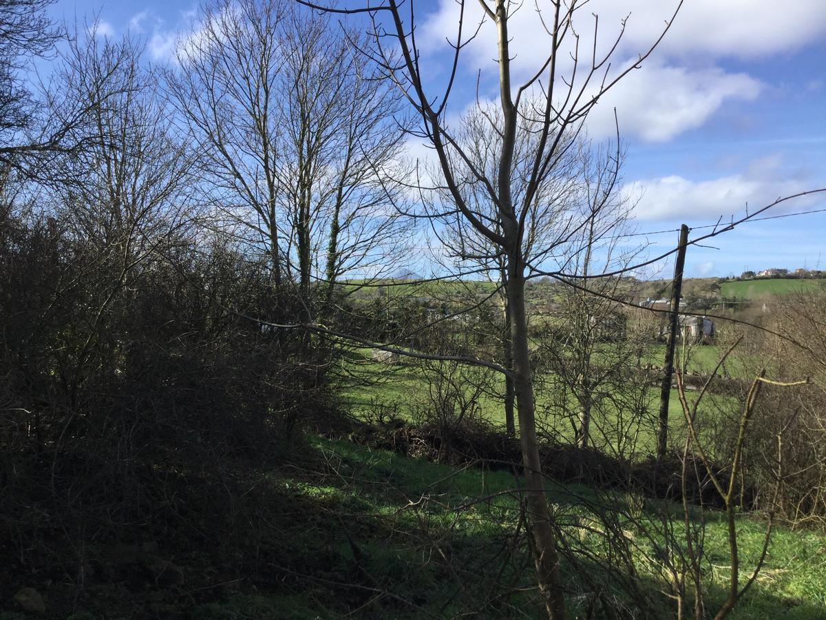 Вилла Westport Glamping At Doon Angus Farm Экстерьер фото