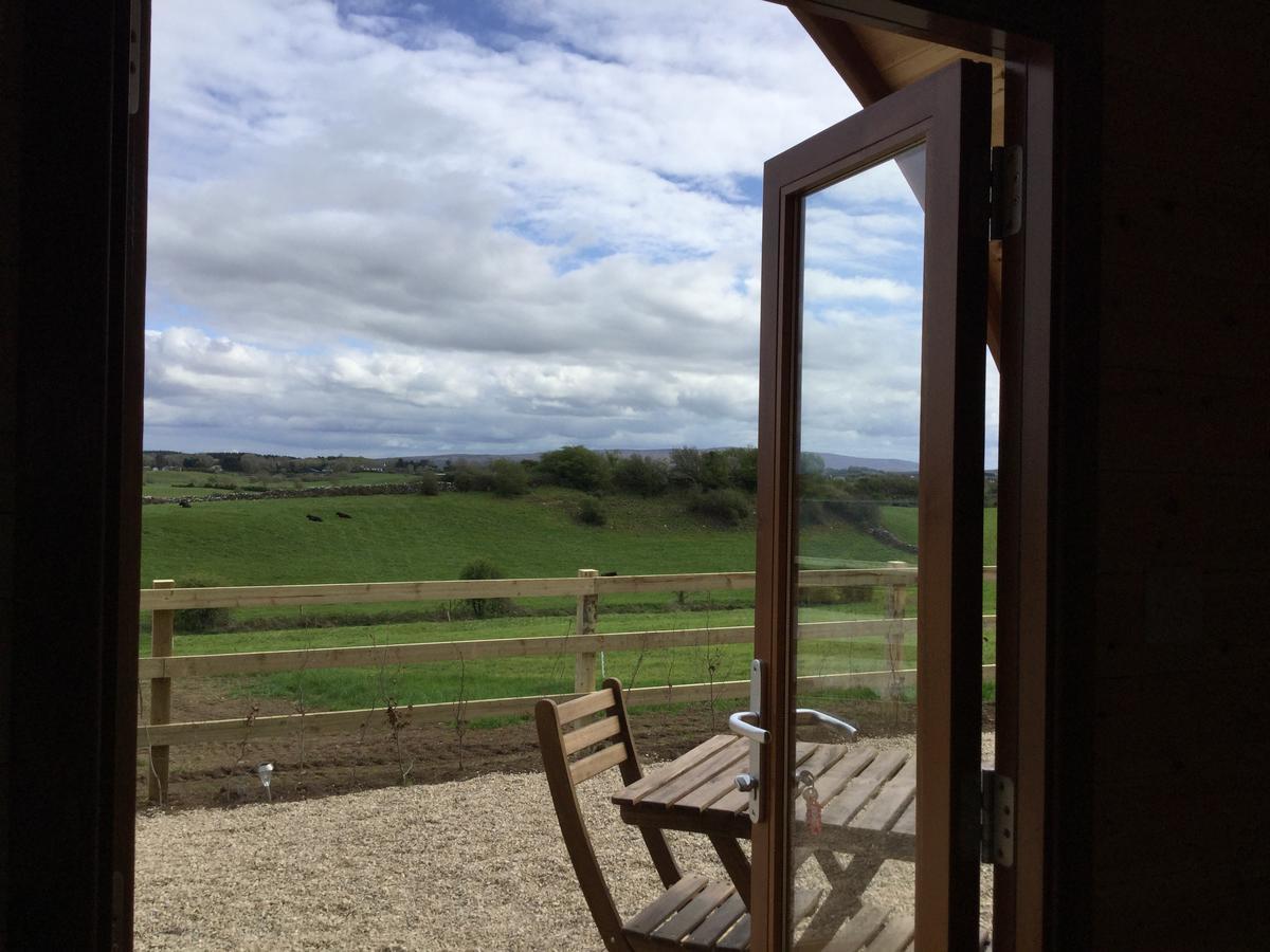 Вилла Westport Glamping At Doon Angus Farm Экстерьер фото