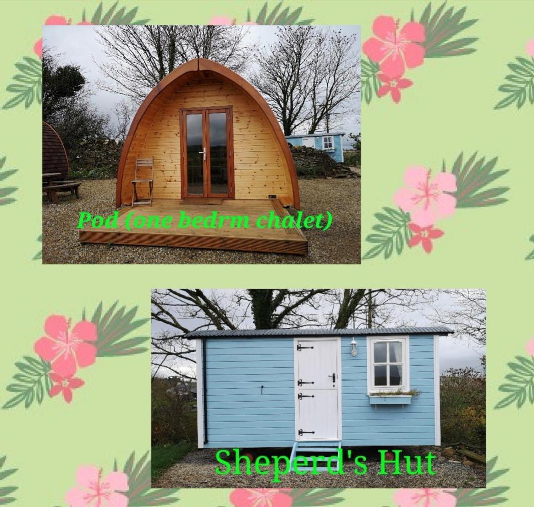Вилла Westport Glamping At Doon Angus Farm Экстерьер фото
